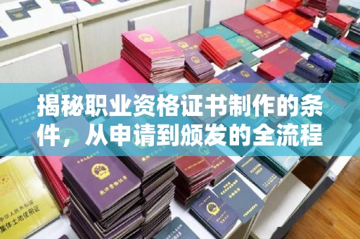 山南揭秘职业资格证书制作的条件，从申请到颁发的全流程解析